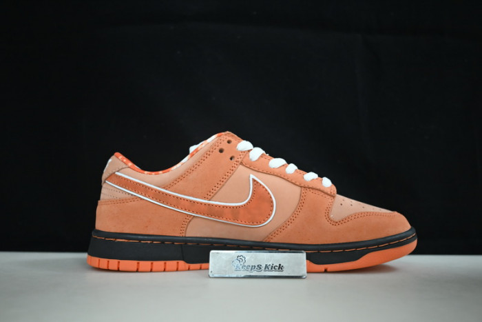 concepts x dunk low sb
