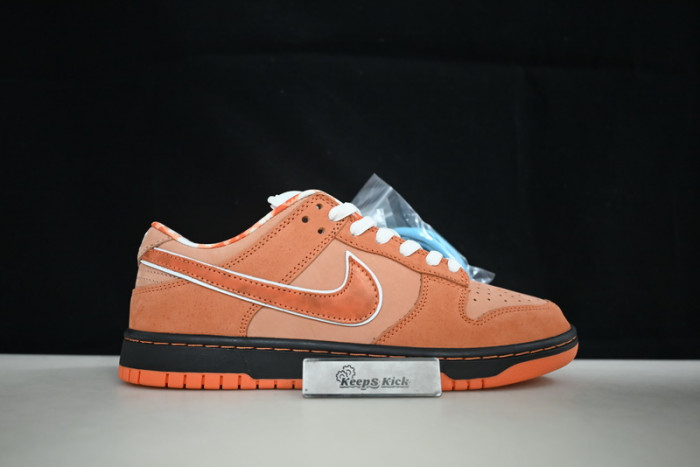 concepts x dunk low sb
