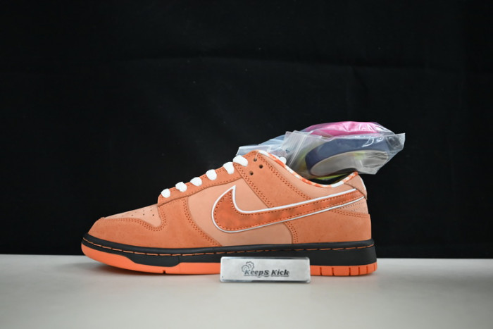 concepts x dunk low sb