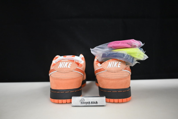 concepts x dunk low sb