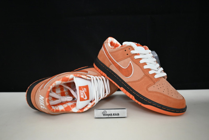 concepts x dunk low sb
