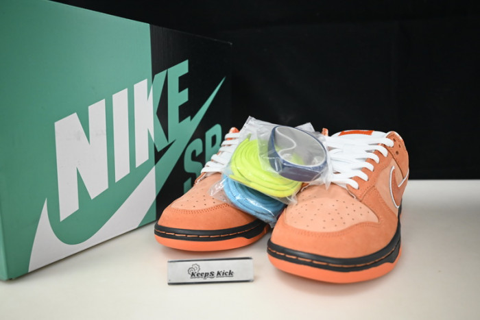 concepts x dunk low sb