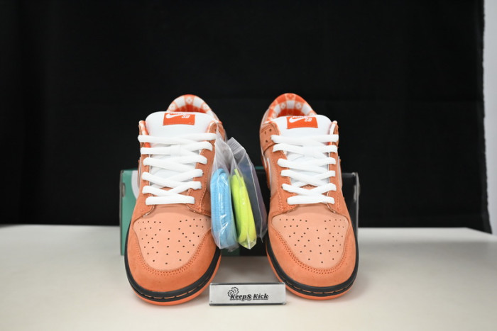 concepts x dunk low sb