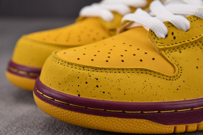 concepts x dunk low premium sb