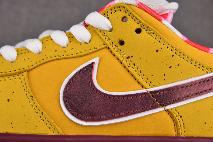 concepts x dunk low premium sb
