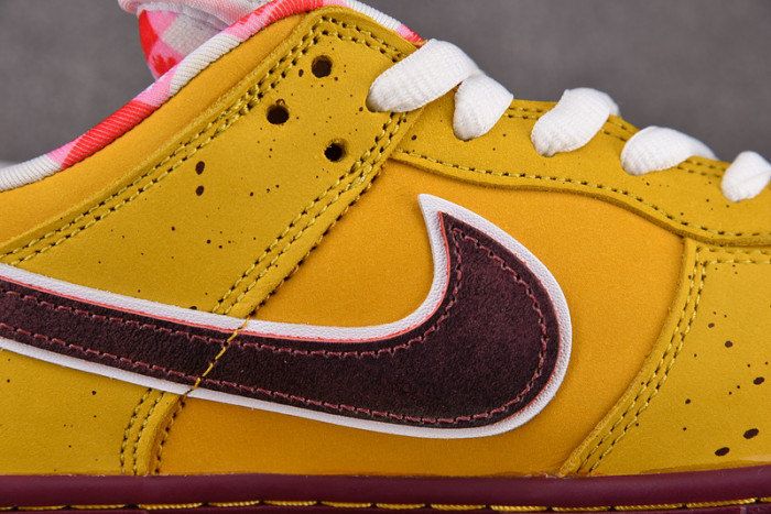 concepts x dunk low premium sb