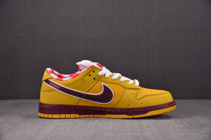 concepts x dunk low premium sb