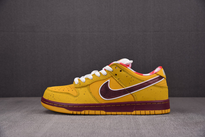 concepts x dunk low premium sb
